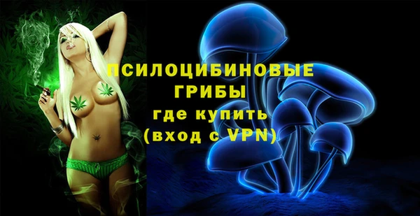 скорость Бородино