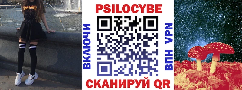 купить закладку  Новоржев  Псилоцибиновые грибы мицелий 